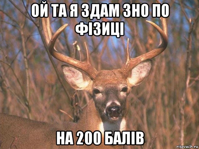 ой та я здам зно по фізиці на 200 балів