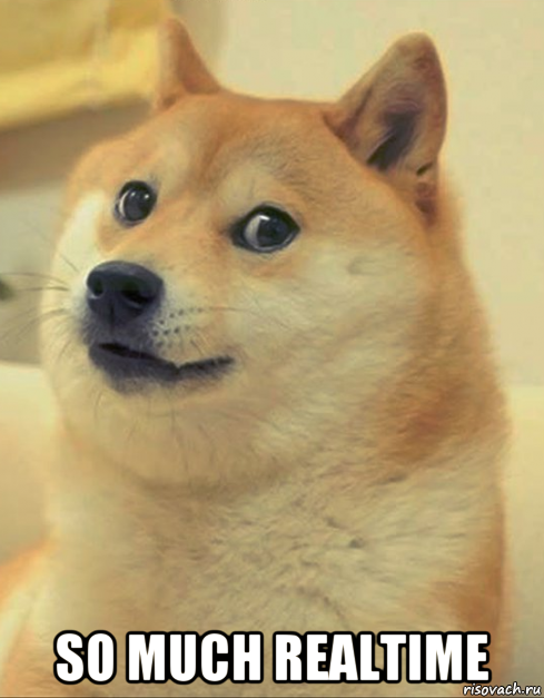  so much realtime, Мем doge woof