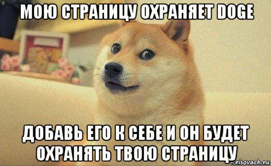 мою страницу охраняет doge добавь его к себе и он будет охранять твою страницу