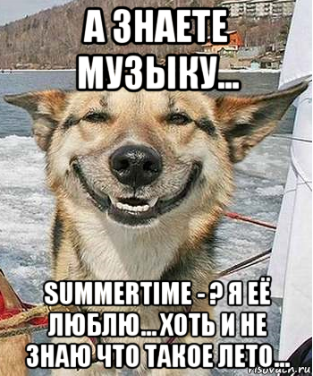 а знаете музыку... summertime - ? я её люблю... хоть и не знаю что такое лето..., Мем Довольный пес