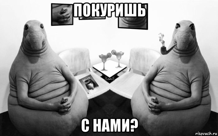 покуришь с нами?