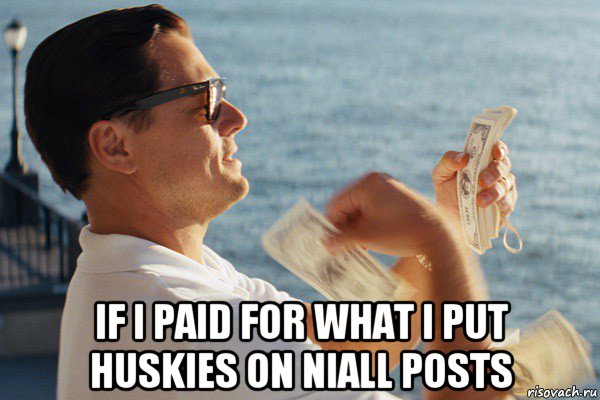  if i paid for what i put huskies on niall posts, Мем Если бы мне платили за то что я 