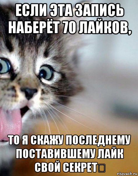 если эта запись наберёт 70 лайков, то я скажу последнему поставившему лайк свой секрет❤