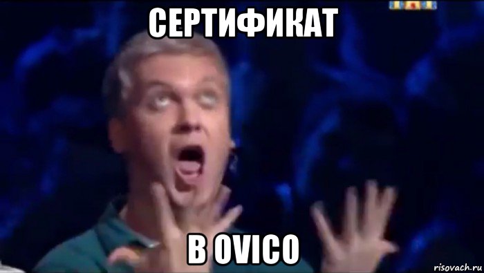 сертификат в ovico, Мем  Это ШЕДЕВР