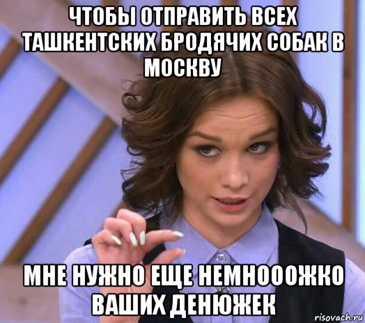 чтобы отправить всех ташкентских бродячих собак в москву мне нужно еще немнооожко ваших денюжек