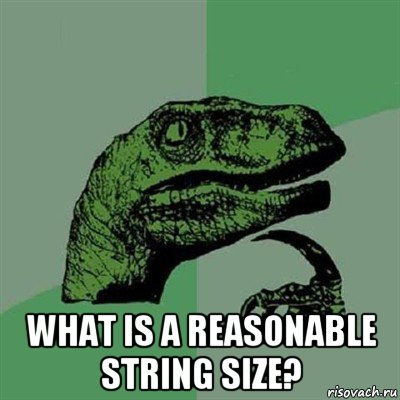  what is a reasonable string size?, Мем Филосораптор