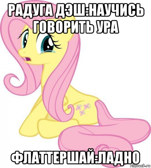 радуга дэш:научись говорить ура флаттершай:ладно