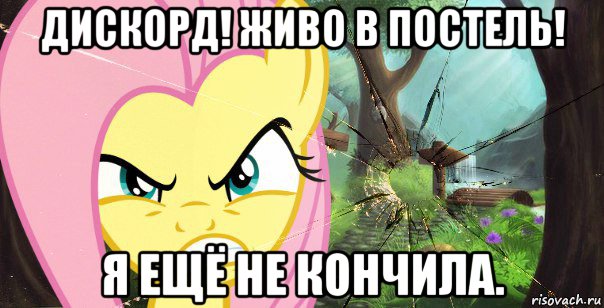 дискорд! живо в постель! я ещё не кончила.