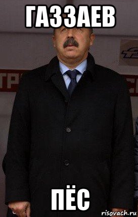 газзаев пёс
