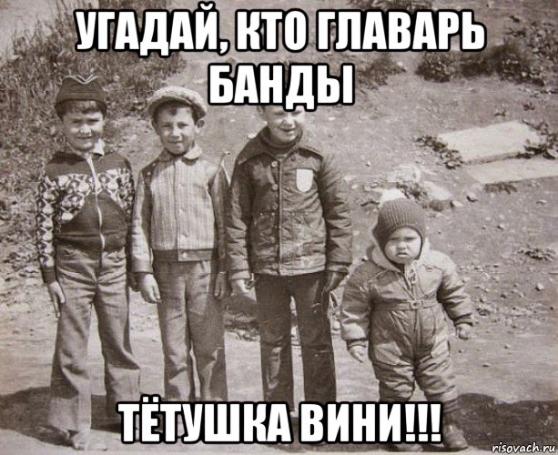 угадай, кто главарь банды тётушка вини!!!, Мем главарь