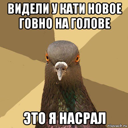 видели у кати новое говно на голове это я насрал