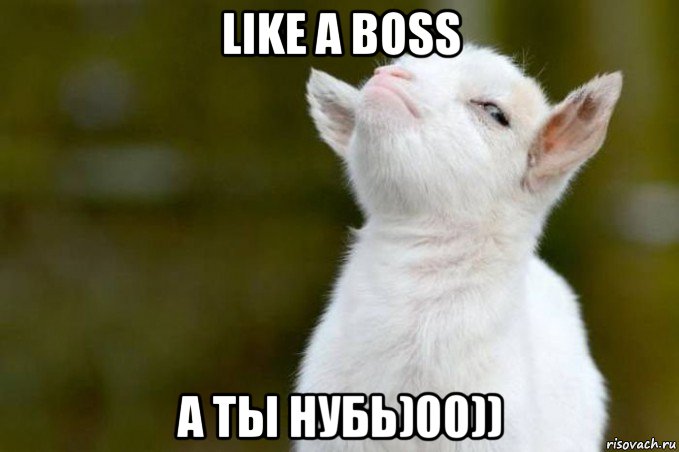 like a boss а ты нубь)00)), Мем  Гордый козленок