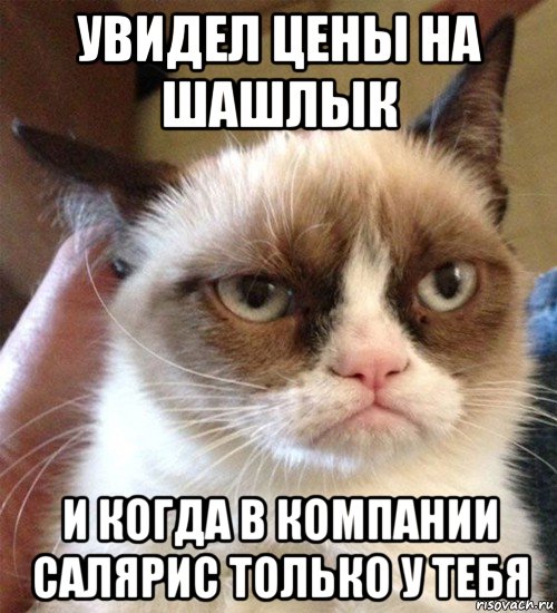 увидел цены на шашлык и когда в компании салярис только у тебя, Мем Грустный (сварливый) кот