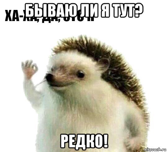 бываю ли я тут? редко!, Мем Ха-ха да это я