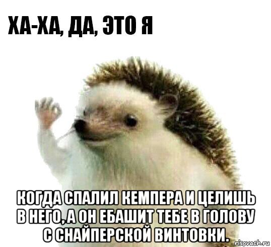  когда спалил кемпера и целишь в него, а он ебашит тебе в голову с снайперской винтовки.