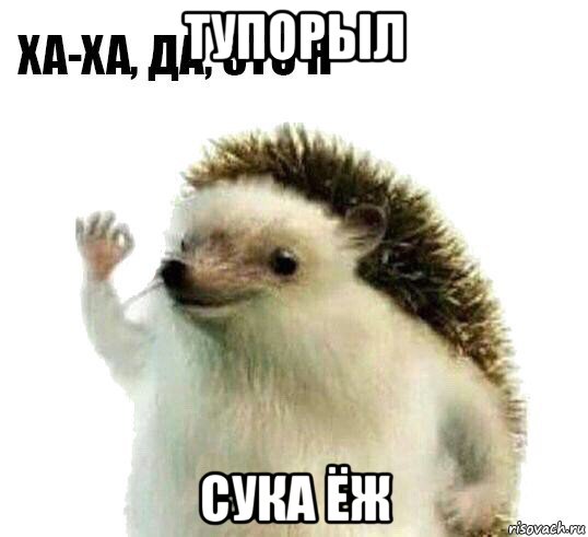 тупорыл сука ёж, Мем Ха-ха да это я