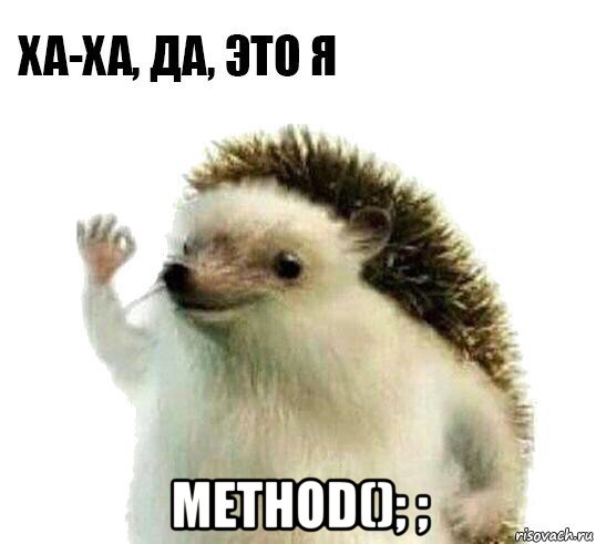  method(); ;, Мем Ха-ха да это я