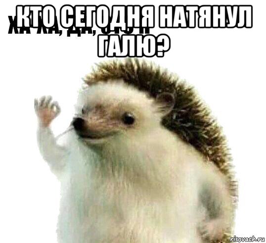 кто сегодня натянул галю? , Мем Ха-ха да это я