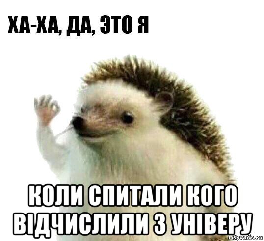  коли спитали кого відчислили з універу, Мем Ха-ха да это я