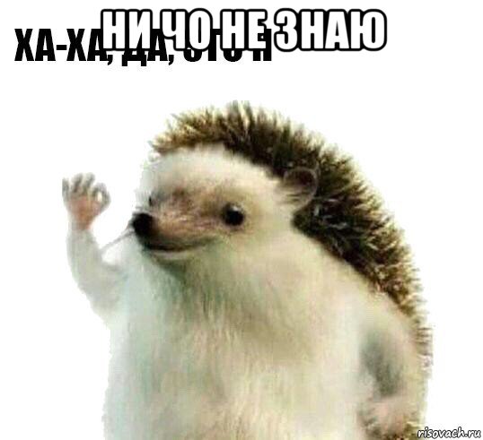 ни чо не знаю , Мем Ха-ха да это я