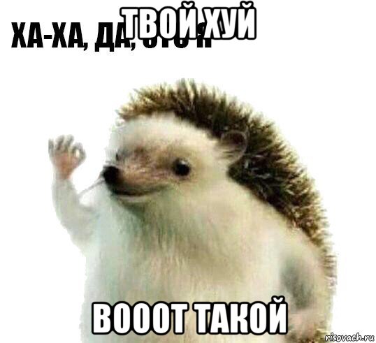 твой хуй вооот такой, Мем Ха-ха да это я