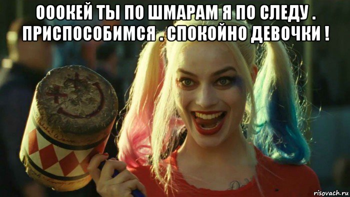 ооокей ты по шмарам я по следу . приспособимся . спокойно девочки ! , Мем    Harley quinn