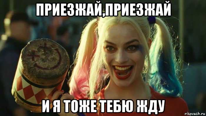 приезжай,приезжай и я тоже тебю жду, Мем    Harley quinn