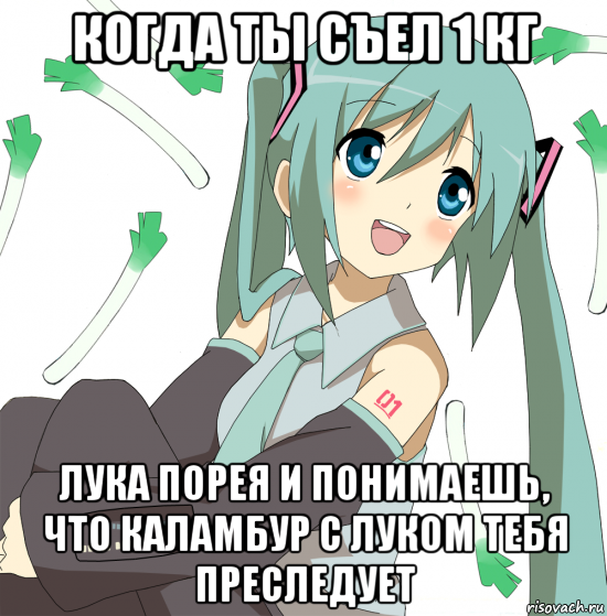 когда ты съел 1 кг лука порея и понимаешь, что каламбур с луком тебя преследует