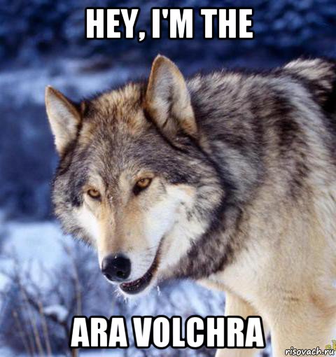 hey, i'm the ara volchra