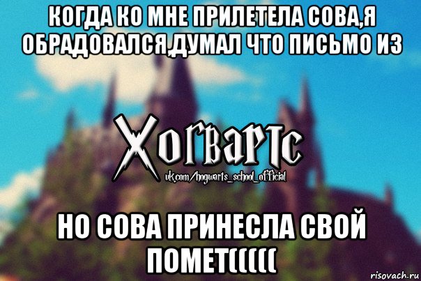 когда ко мне прилетела сова,я обрадовался,думал что письмо из но сова принесла свой помет(((((, Мем Хогвартс