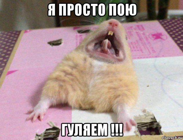 я просто пою гуляем !!!