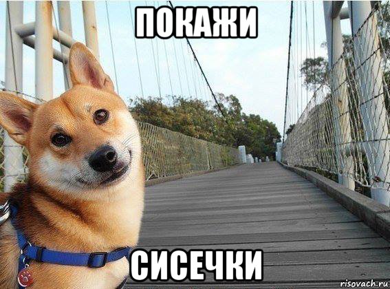 покажи сисечки, Мем Хуйня