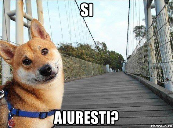 si aiuresti?, Мем Хуйня