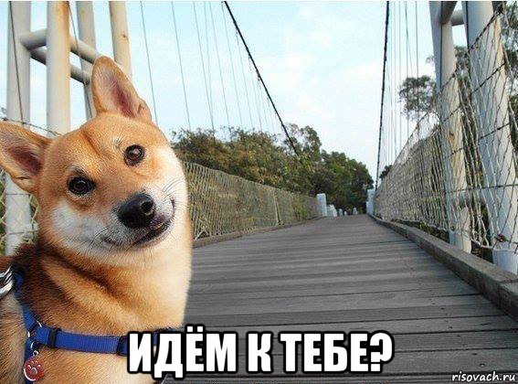  идём к тебе?, Мем Хуйня