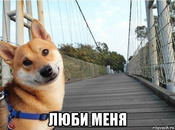  люби меня, Мем Хуйня