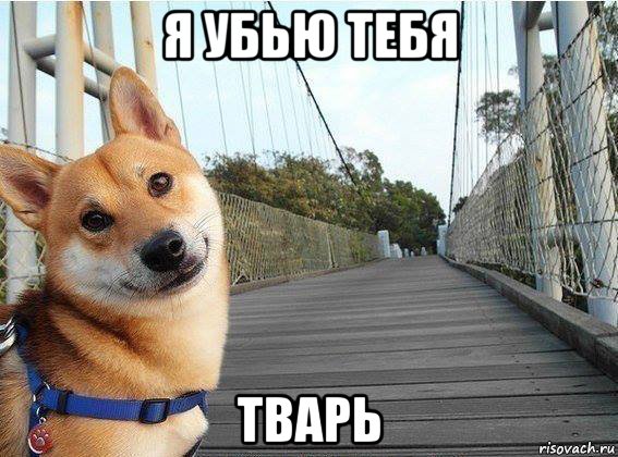 я убью тебя тварь, Мем Хуйня