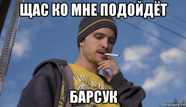 щас ко мне подойдёт барсук