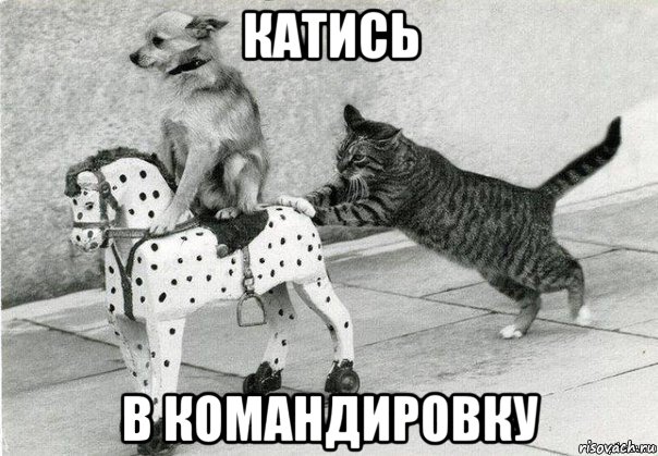 катись в командировку, Мем Катись к хуям