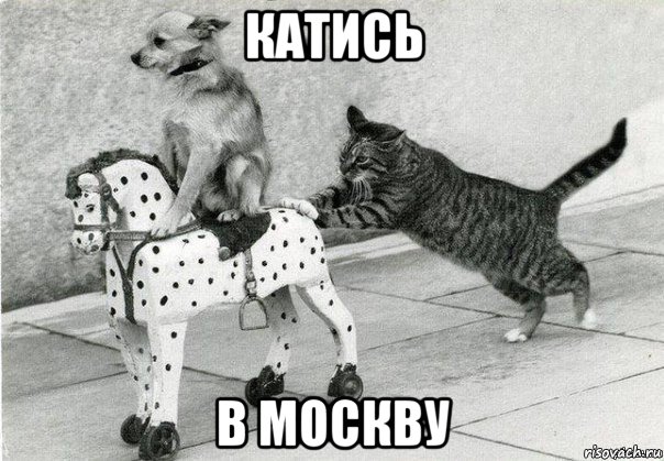 катись в москву, Мем Катись к хуям