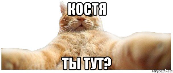 костя ты тут?