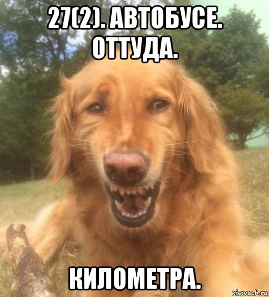 27(2). автобусе. оттуда. километра., Мем   Когда увидел что соседского кота отнесли в чебуречную