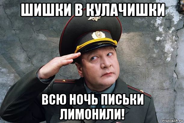 шишки в кулачишки всю ночь письки лимонили!