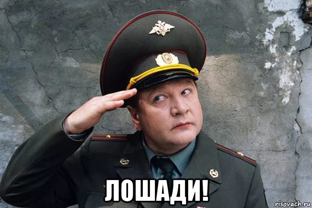  лошади!