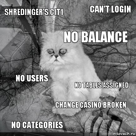 Shredinger's cit1 no tables assigned no balance no categories no users can't login change casino broken   , Комикс  кот безысходность