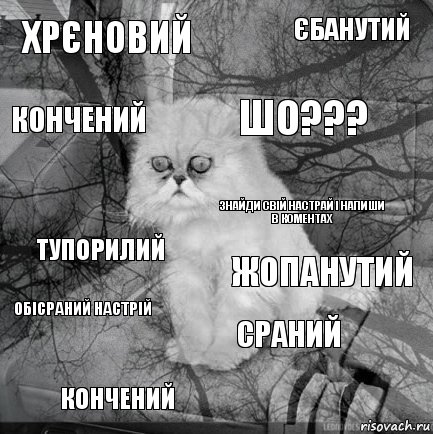 Хрєновий Жопанутий ШО??? Кончений Тупорилий Єбанутий Сраний Кончений Обісраний Настрій Знайди свій настрай і напиши в коментах, Комикс  кот безысходность