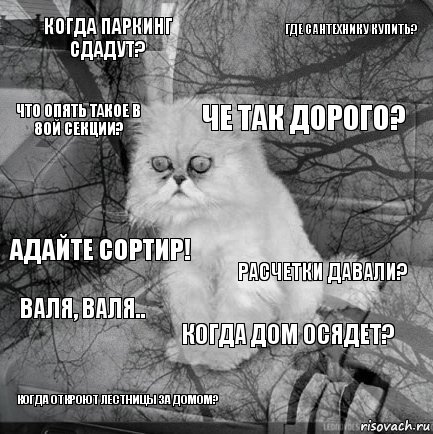 когда паркинг сдадут? расчетки давали? че так дорого? когда откроют лестницы за домом? адайте сортир! где сантехнику купить? когда дом осядет? что опять такое в 8ой секции? Валя, валя.. , Комикс  кот безысходность