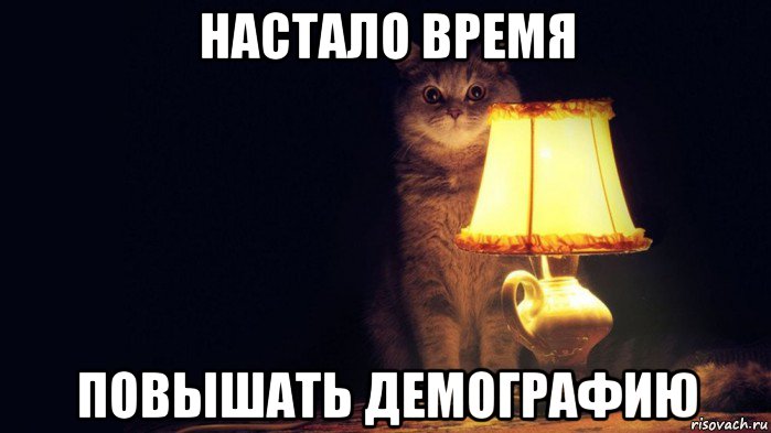 настало время повышать демографию, Мем Кот лампа