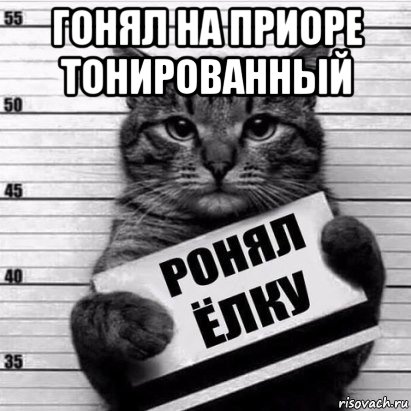гонял на приоре тонированный , Мем Кот рецидив