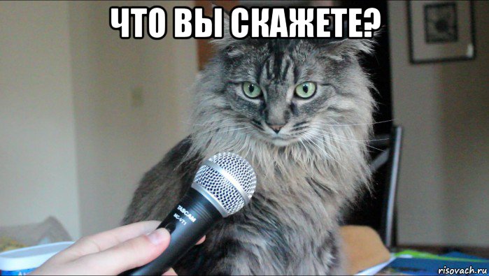 что вы скажете? 