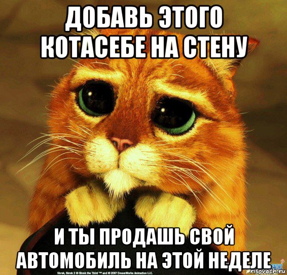 добавь этого котасебе на стену и ты продашь свой автомобиль на этой неделе, Мем Котик из Шрека